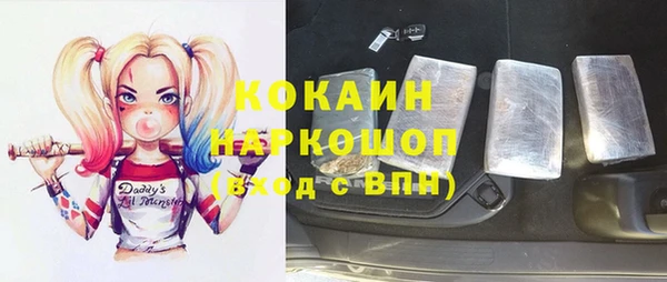 крисы Богородицк