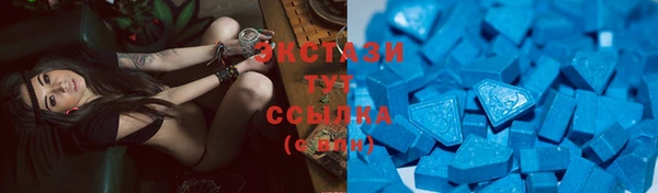 крисы Богородицк