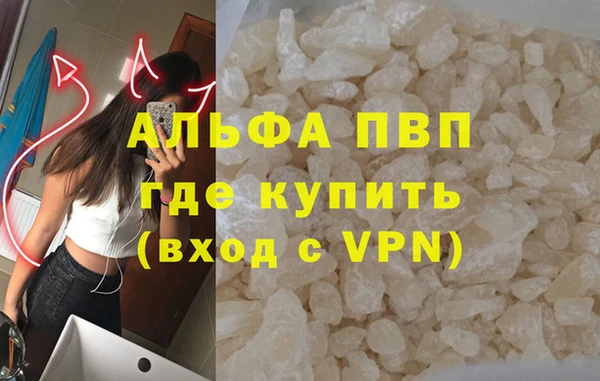крисы Богородицк