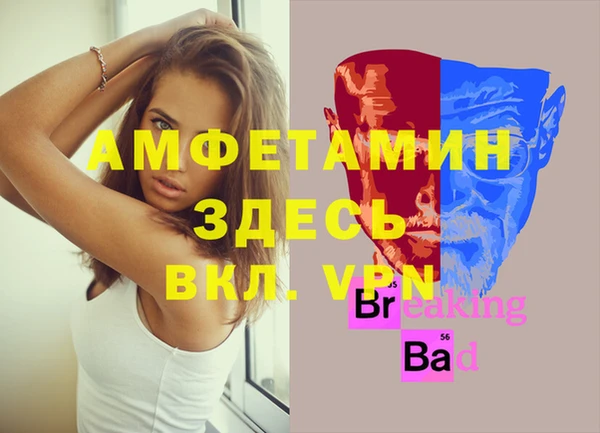 крисы Богородицк