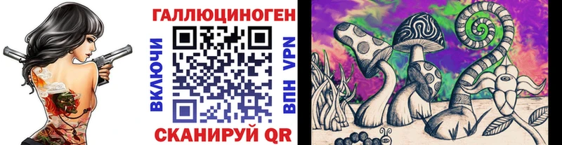 Купить где  Поворино  Псилоцибиновые грибы Psilocybe 